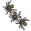 deco-halloweenspidy3.gif (3452 bytes)